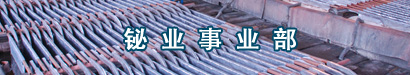 山東岱東人力資源管理有限公司 